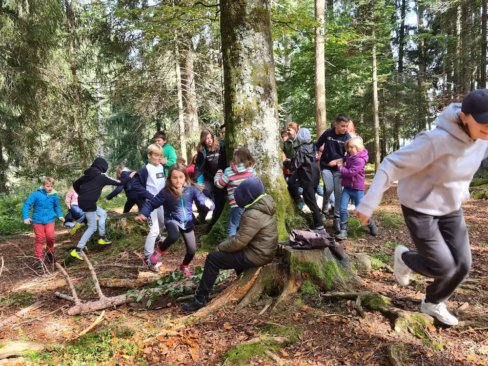 Kinder bei einem Waldspiel im Herbstlager von kinderlager.ch in Hemberg